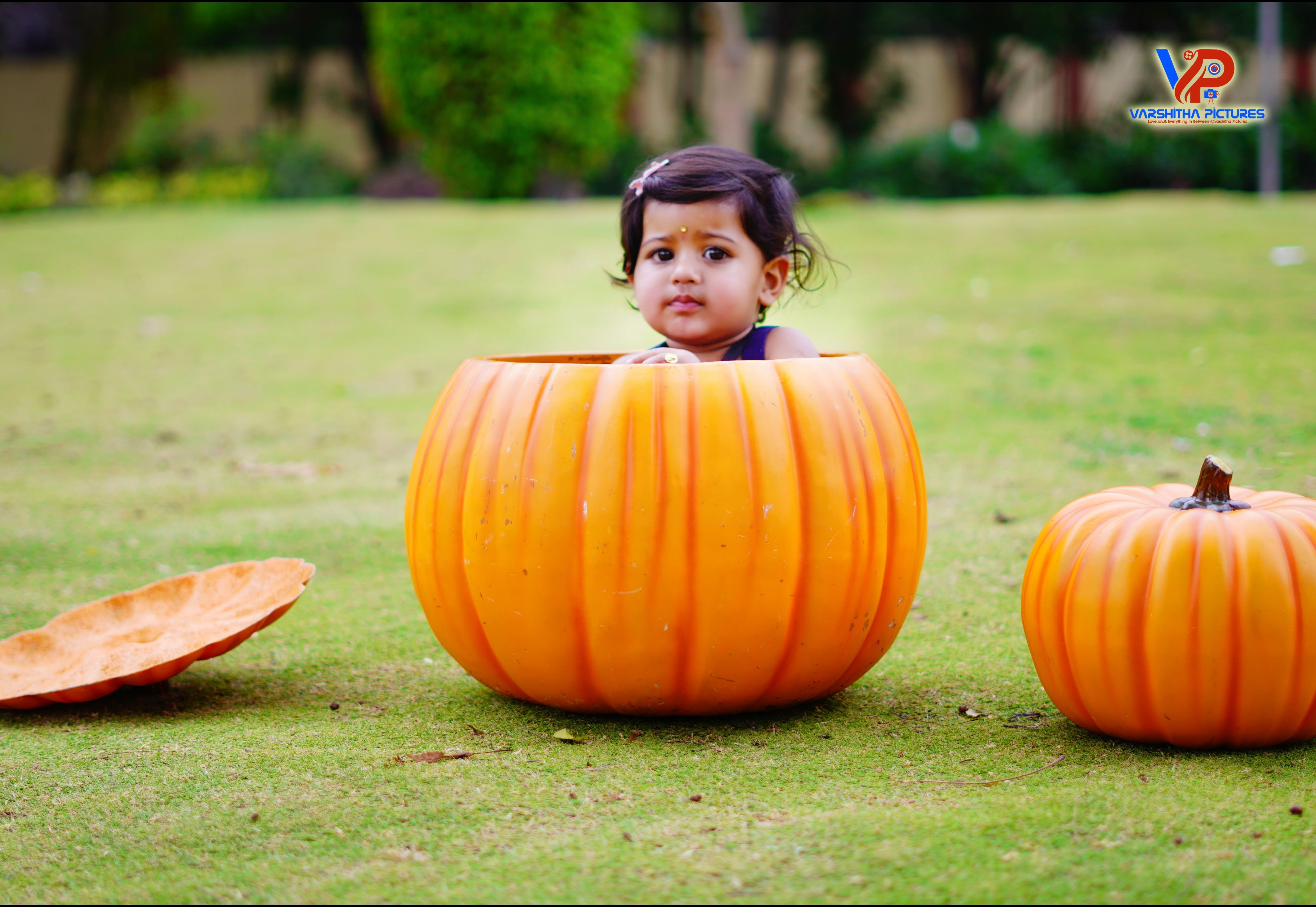 A forest trail with autumn colors