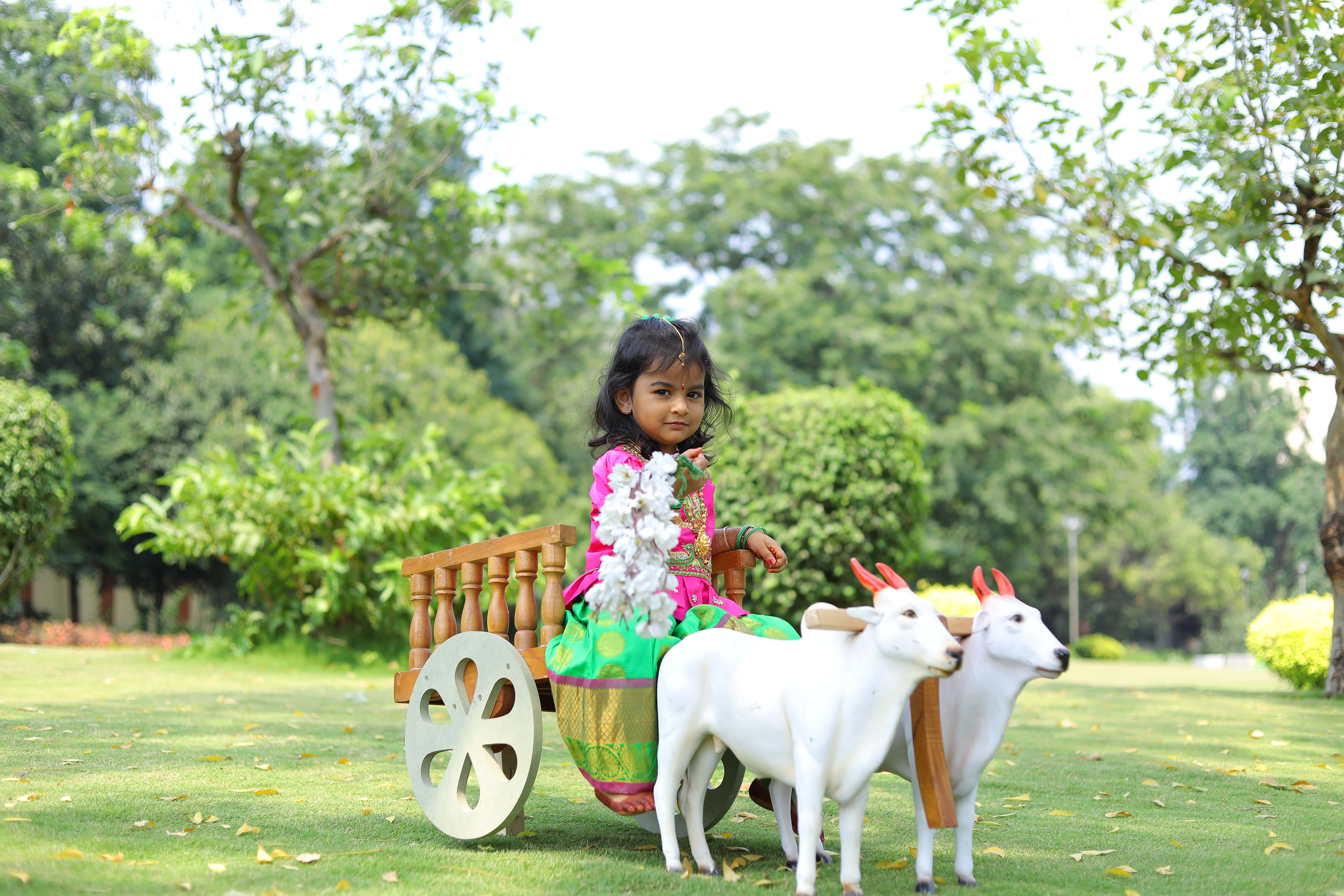A wide-angle view of a vast desert landscape